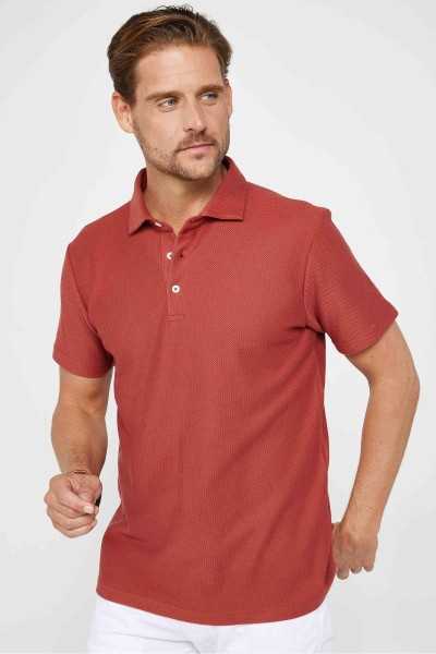 Tudors Erkek Slim Fit Dar Kesim %100 Pamuk Armürlü Kiremit Renk Polo Yaka Tişört TS240023-TL1